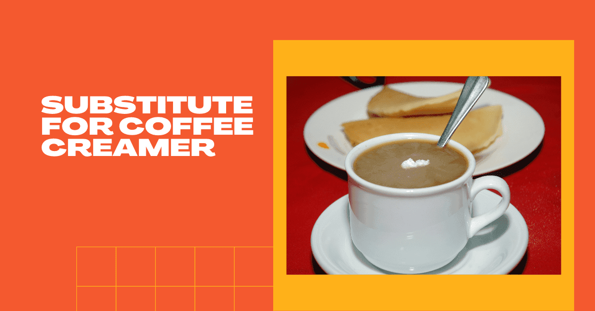 Substitute For Coffee Creamer - A Complete Guide